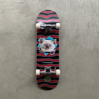 SKATEBOARD DECKS