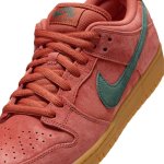 画像7: NIKE SB DUNK LOW PRO HF3704 - 800 (7)