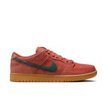 画像5: NIKE SB DUNK LOW PRO HF3704 - 800 (5)