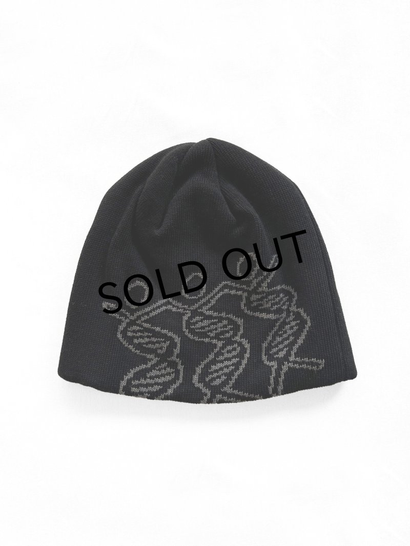 画像1: COMFORTABLE REASON " DANCING DNA BEANIE " - BLACK (1)