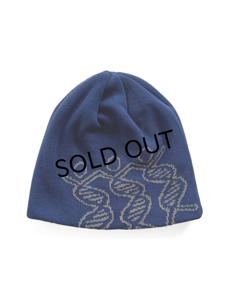 画像1: COMFORTABLE REASON " DANCING DNA BEANIE " - BLUE (1)